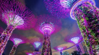 Places To Visit In Singapore For Free