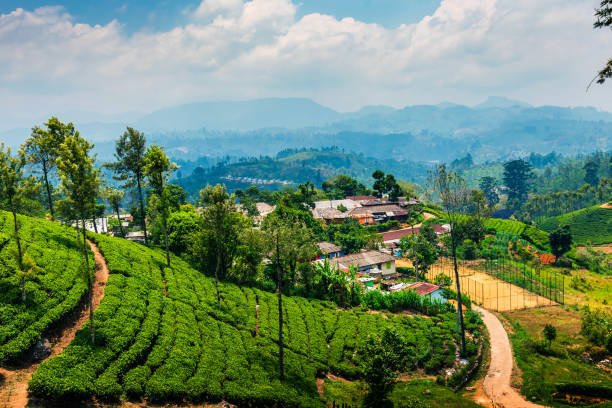 10 Best Things to Do in Sri Lanka