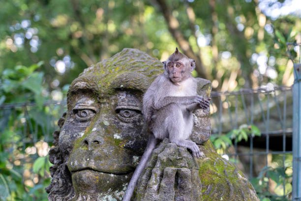 10 Things to Do in Ubud, Bali